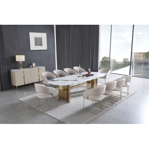 Dining Table with 10 Chairs DW-T21