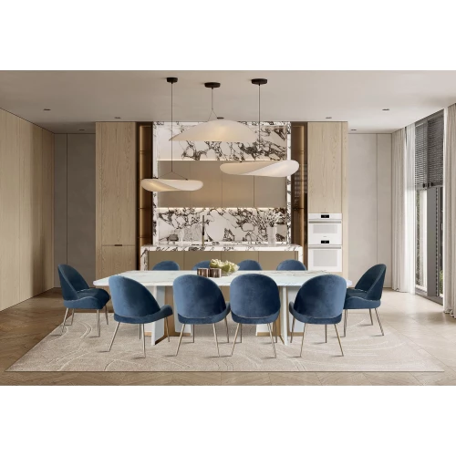 Dining Table with 10 Chairs YM-66D4110